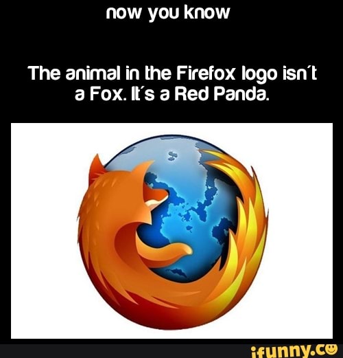 Now You Know The Animal In Ihe Firefox Logo Isn T A Fox It S A