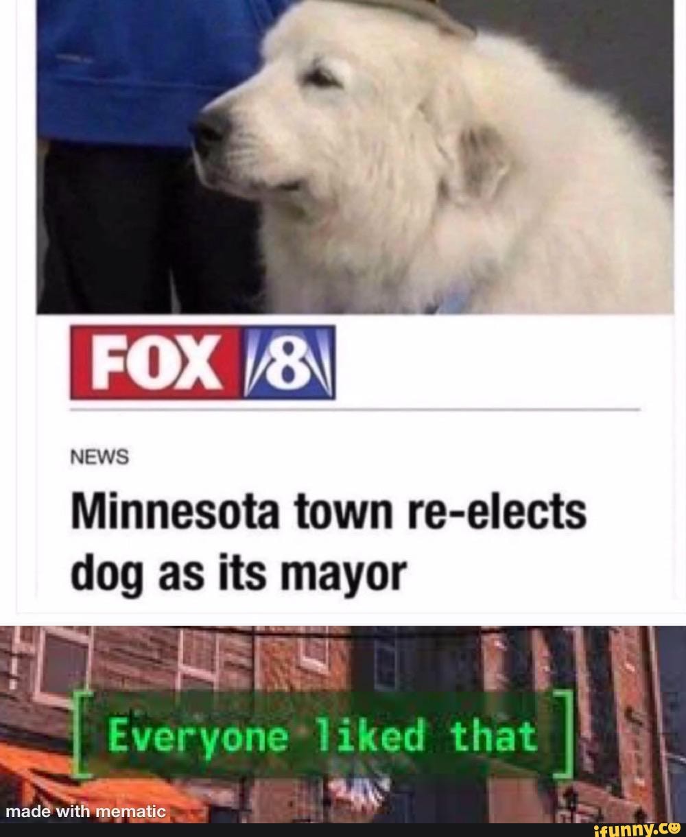 Minnesota town re-elects dog as its mayor
