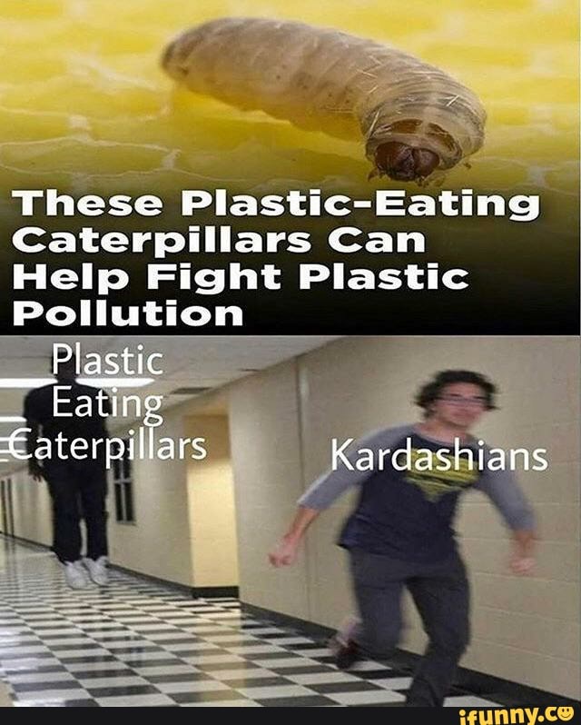 These Plastic-Eating
Caterpillars Can
Help Fight Plastic
Pollution
PE