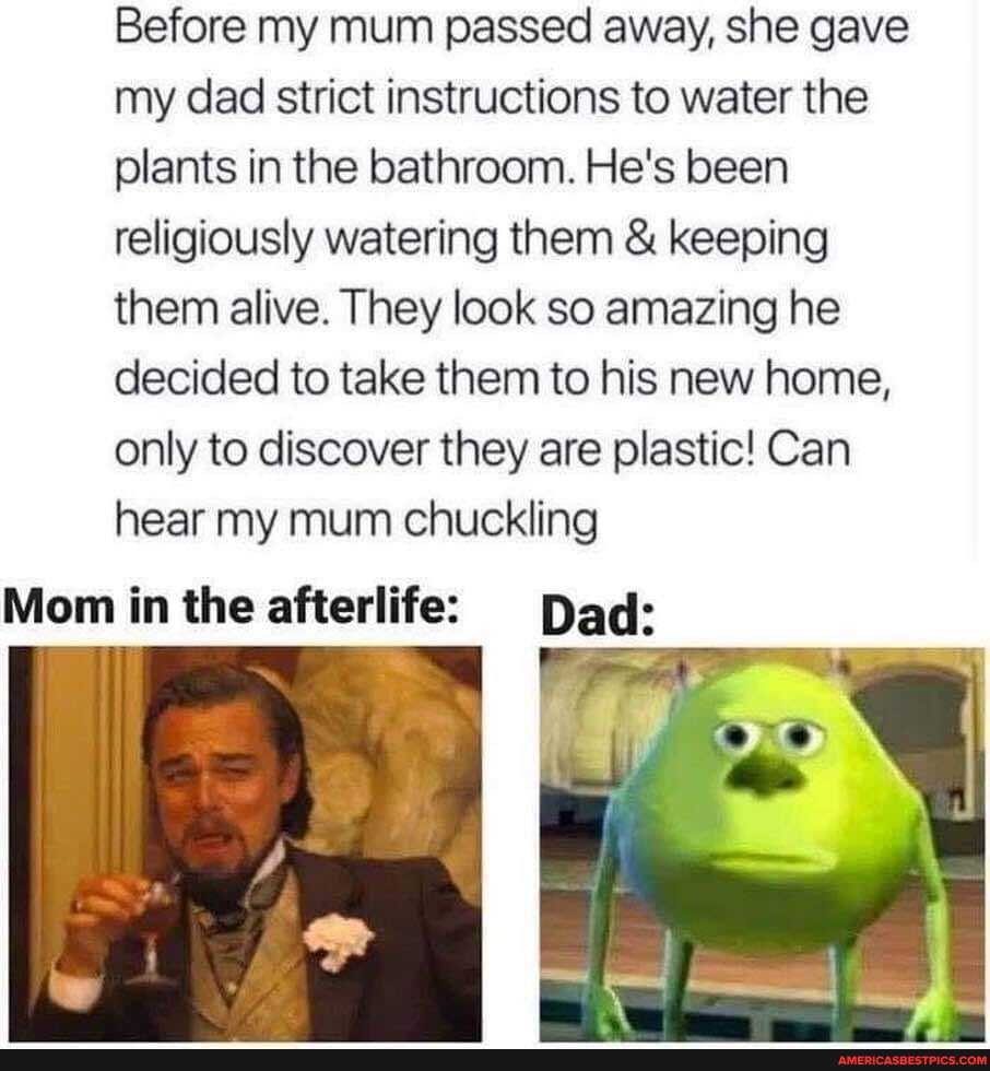 Before my mum passed away, she gave my dad strict instructions to water the plants in the bathroom. He's been religiously watering them & keeping them alive. They look so amazing he decided to take them to his new home, only to discover they are plastic! Can hear my mum chuckling
Mom in the afterlife: Dad: