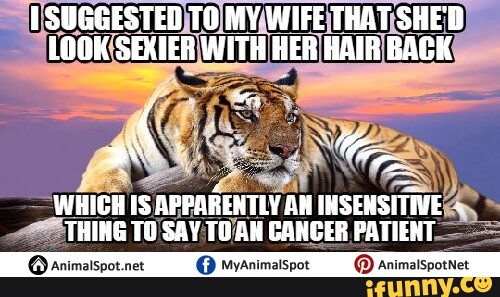 SUGGESTED TO MY WIFE THAT SHE'D LOOK SEXIER WITH HER HAIR BACK WHICH  APPARENTLY AN INSEMSITIVE - THING TO SAY TO AN CANCER PATIENT   MyAnimalspot @ animatspotnet 