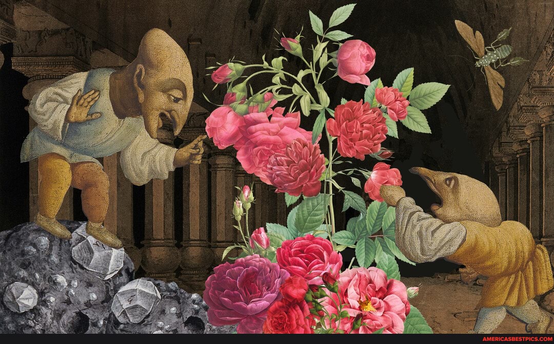 cartoons, flowers, comic_art, roses