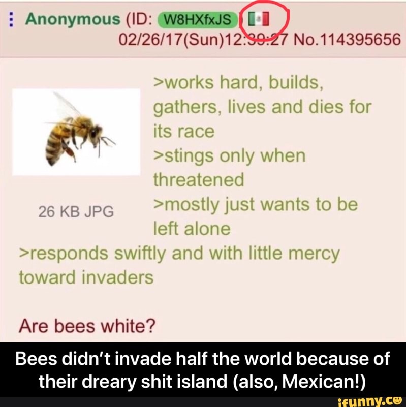 : Anonymous (ID: W8HXfxJS No.114395656
>works hard, builds, gathers, lives and dies for
its race
>stings only when
threatened
KB IP >mostly just wants to be left alone
>responds swiftly and with little mercy toward invaders
26 KB JPG
Are bees white?
Bees didn't invade half the world because of
their dreary shit island (also, Mexican!) - Bees didn’t invade half the world because of their dreary shit island (also, Mexican!)