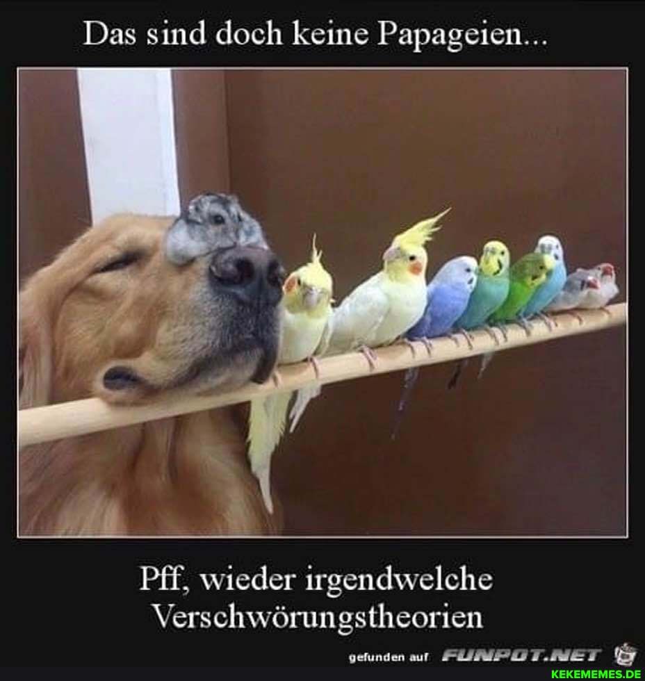 Das sind doch keine Papageien...
Pff, wieder irgendwelche
Verschwörungstheorien