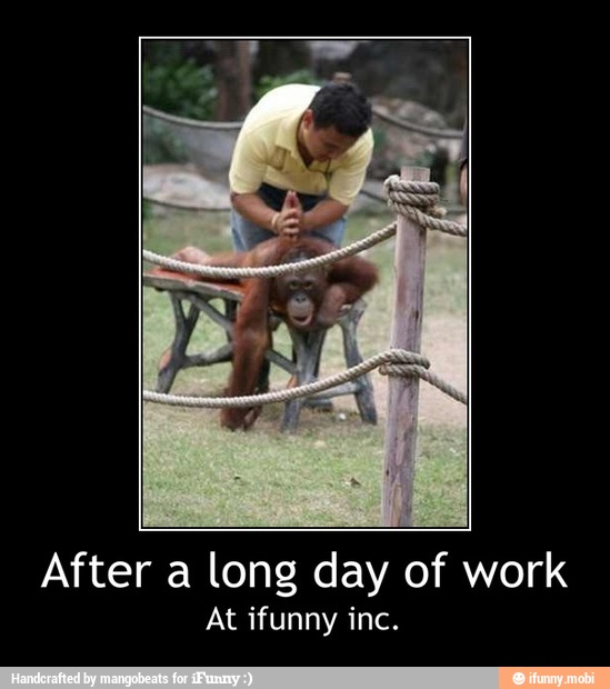 After a long day of work
At ifunny inc. - After a long day of work
At ifunny inc.