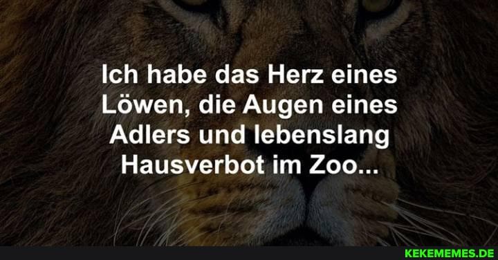 Ich habe das Herz eines
Löwen, die Augen eines
Adlers und lebenslang
Hausverbot im Zoo...