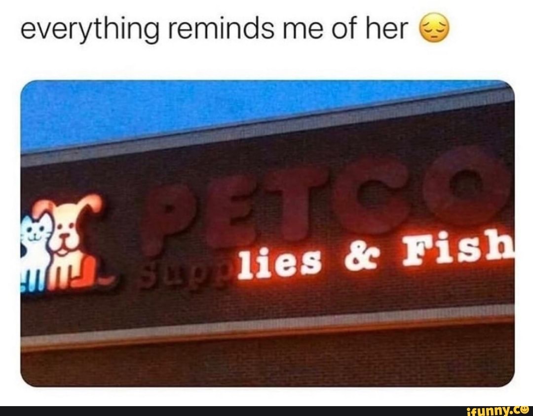 everything reminds me of her €