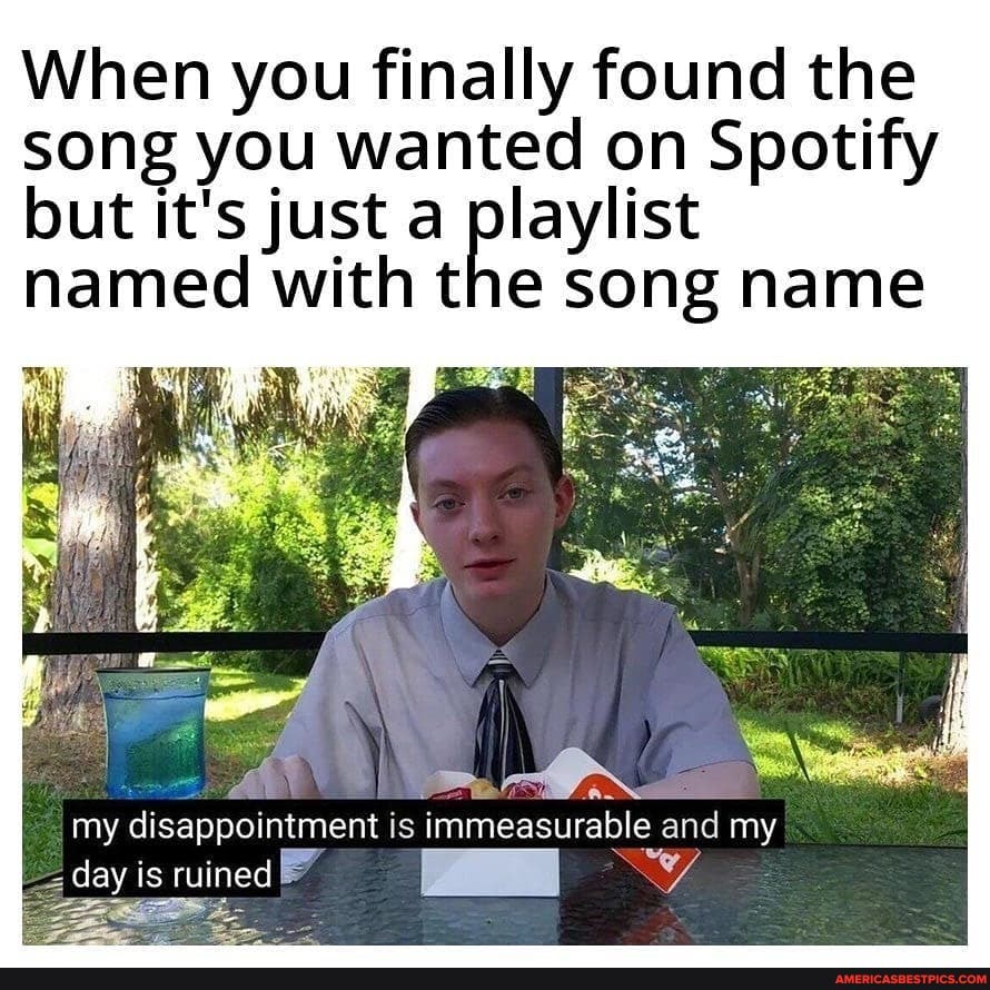 When you finally found the song you wanted on Spotify but it's just a playlist
named with the song name