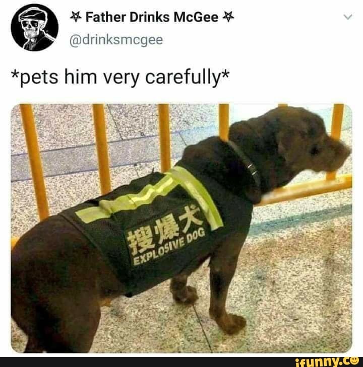 Father Drinks McGee
@drinksmcgee
*pets him very carefully*