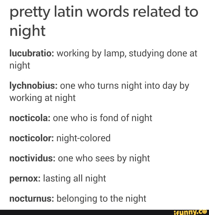 pretty-latin-words-related-to-night-iucubratio-working-by-lamp