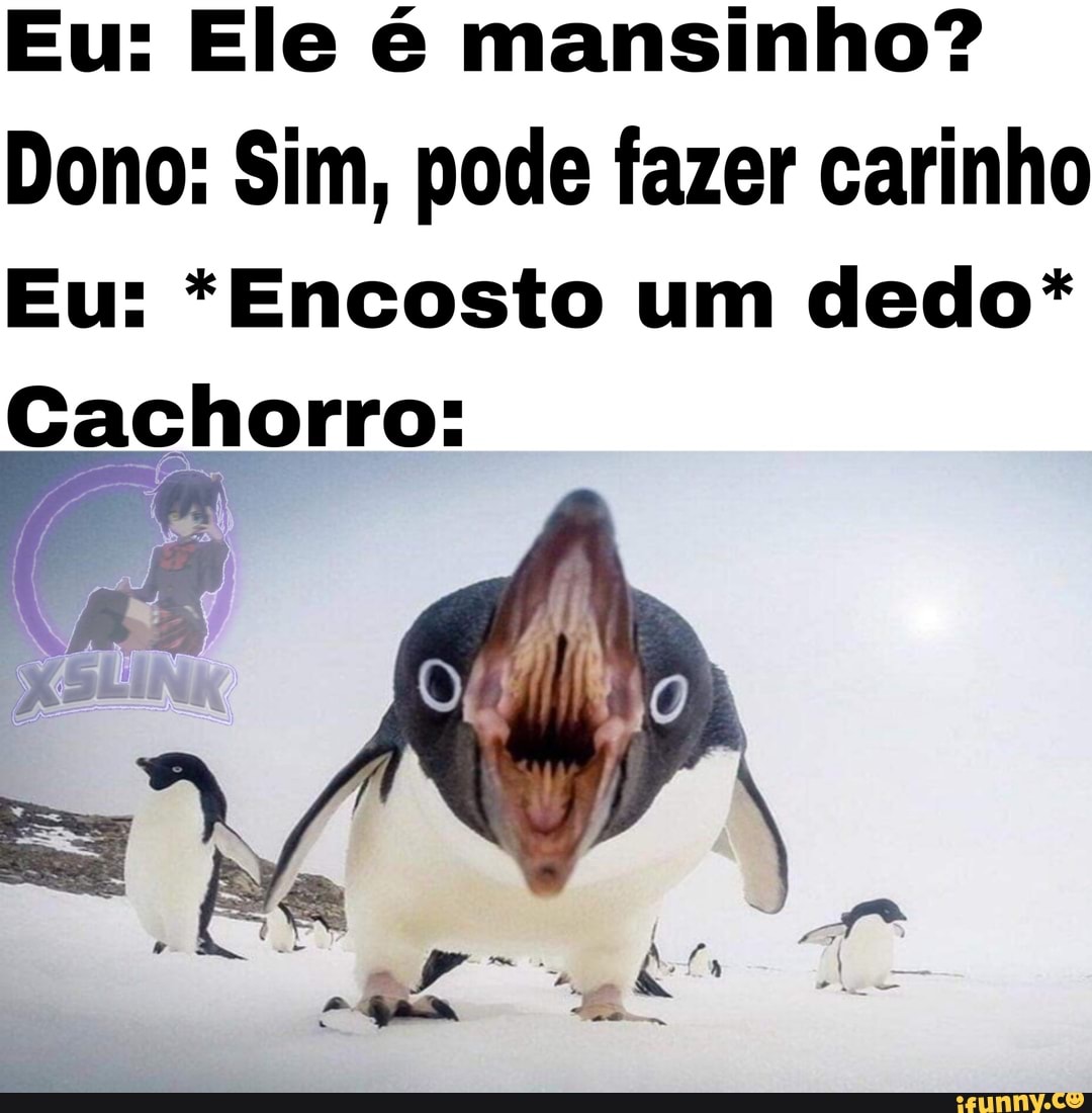 Eu: Ele é mansinho?
Dono: Sim, pode fazer carinho
Eu: *Encosto um dedo*
Cachorro: