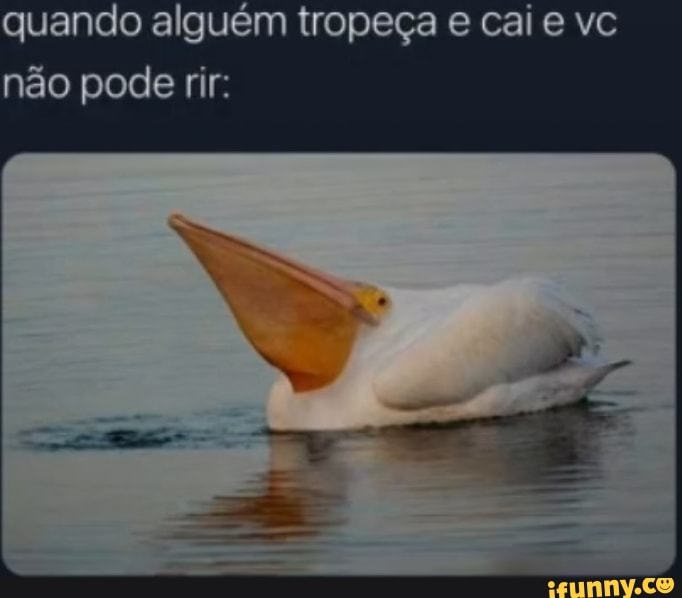 quando alguém tropeça e cai e vc não pode rir: