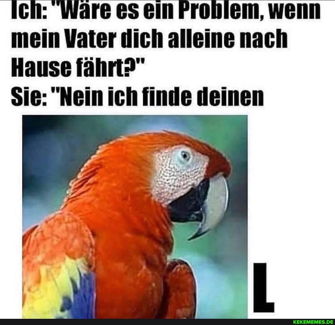 Ich: Ware ein FPronlem, wenn mein Vater dich alleine nach
Hause fährt?"
Sie: "Nein ich finde deinen