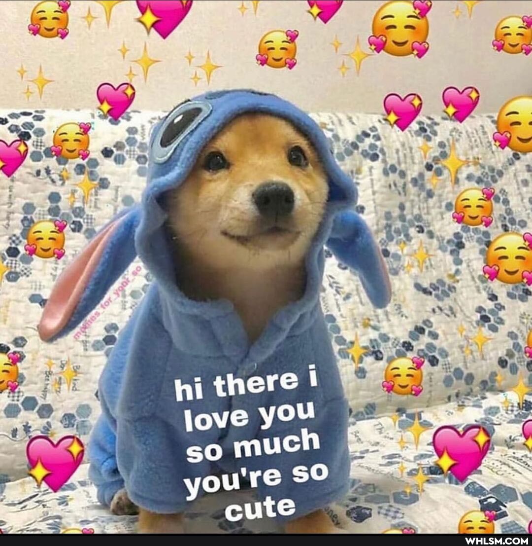 hi there I love you so muUc youre cute