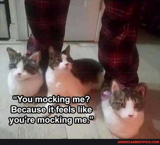 "You mocking me?
Because it feels like you're mocking me."