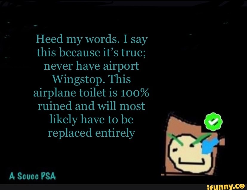 Heed My Words I Say This Because It S True Never Have Airport Wingstop This Airplane Toilet Is 100 Ruined And Will Most Likely Have To Be Replaced Entirely Seuce Ps