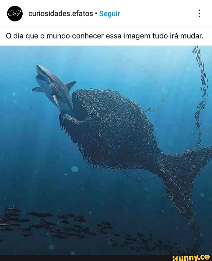 [:7) curiosidades.efatos Seguir
O dia que o mundo conhecer essa imagem tudo irá mudar.
dê