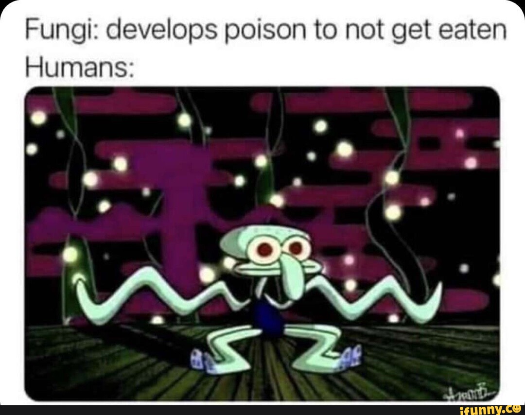 Fungi: develops poison to not get eaten Humans: - seo.title