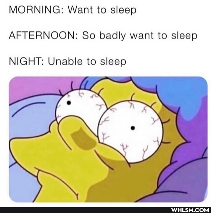 MORNING: Want to sleep
AFTERNOON: So badly want to sleep
NIGHT: Unable to sleep
