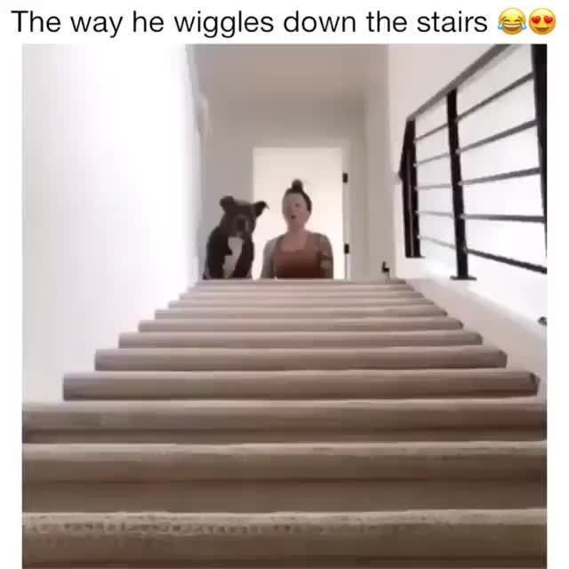How To Keep The Cats Downstairs Meme Guy