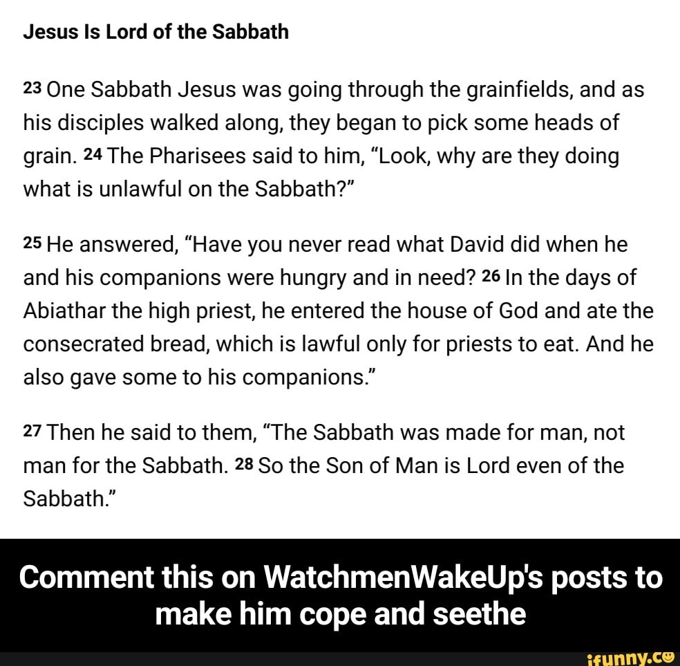 jesus-is-lord-of-the-sabbath-23-one-sabbath-jesus-was-going-through-the