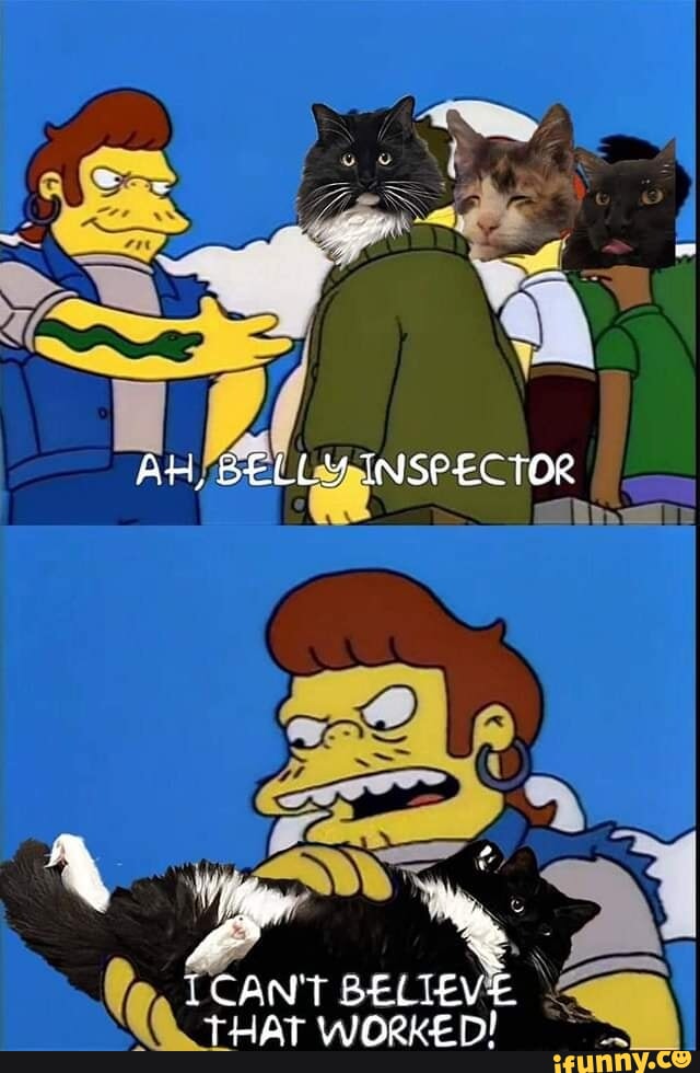 How the hell are sloths not extinct yet? righthandoftyr They aren't