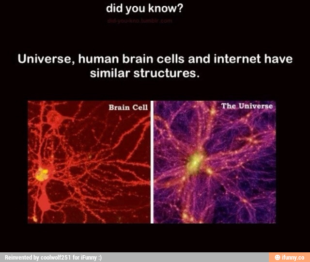 Universe, human brain cells and internet have similar structures. - )