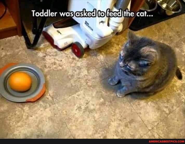Toddler
wes ash