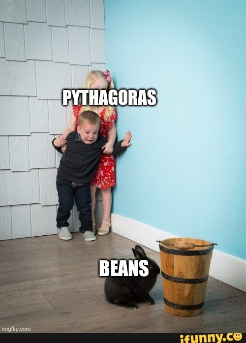 PYTHAGORAS BEANS - iFunny