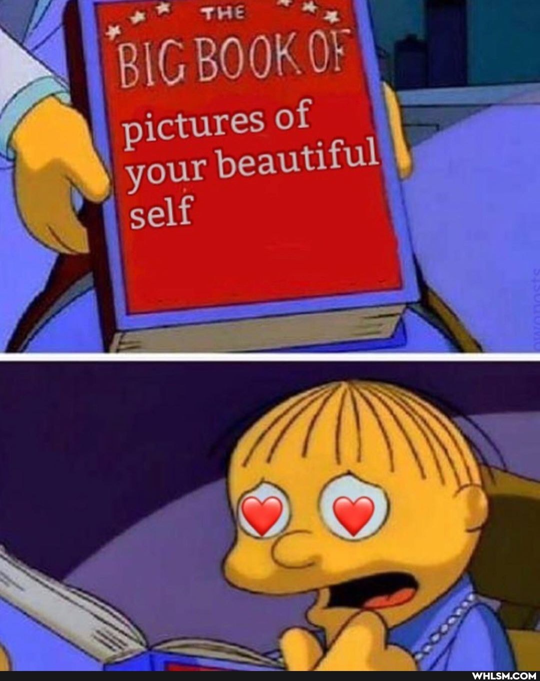 BIG BOOK OF pictures of
self