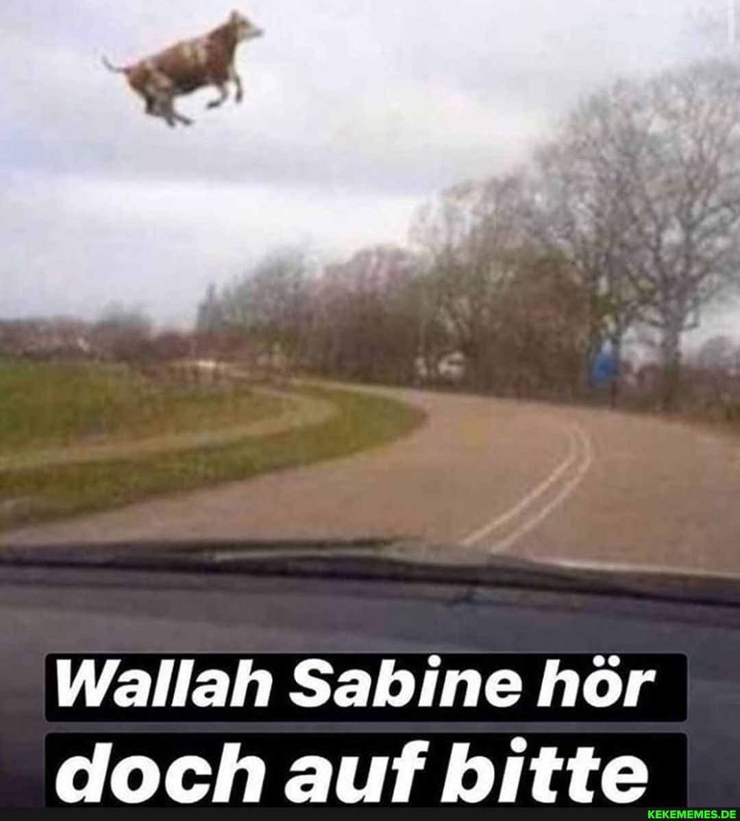 Wallah Sabine hör dach auf bitte