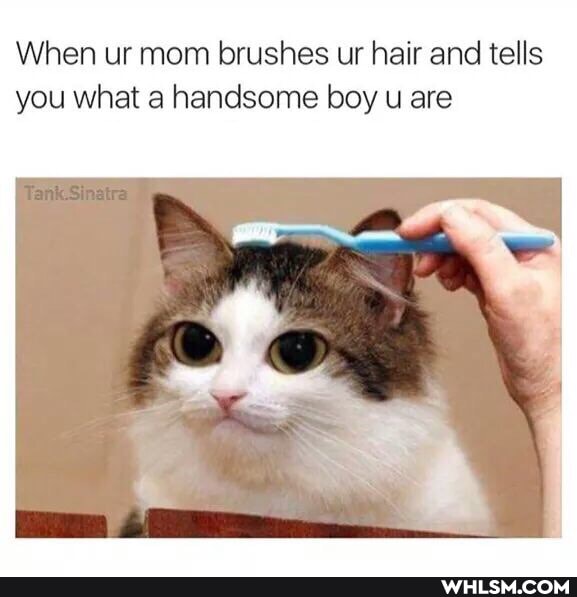 When ur mom brushes ur hair and tells you what a handsome boy u are