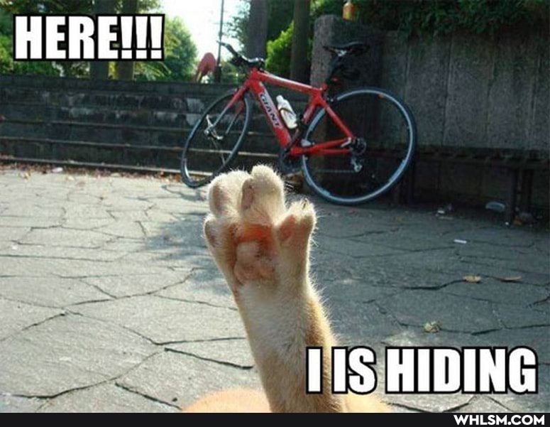 HERE!
HIDING