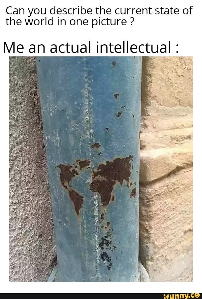 Can you describe the current state of the world in one picture ?
Me an actual intellectual :