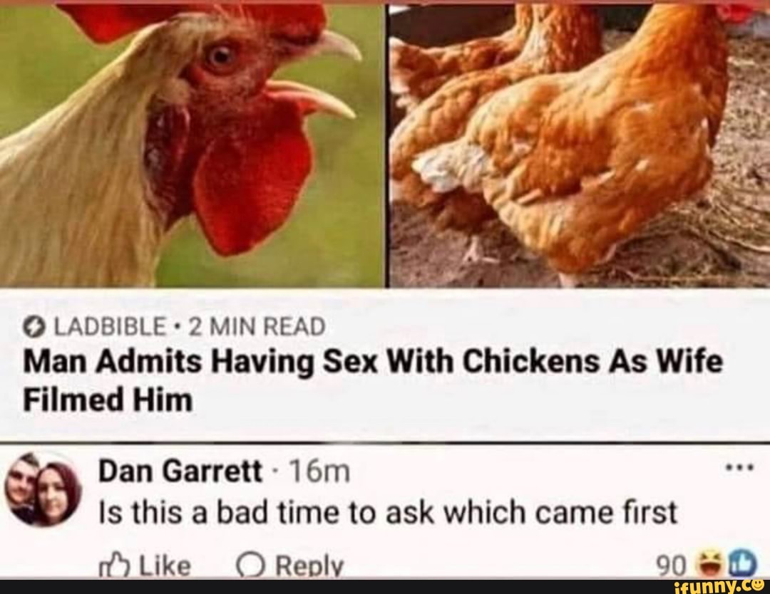 LADBIBLE 2 MIN READ Man Admits Having Sex With Chickens As Wife Filmed Him  Is this a bad time to ask which came first Like Reply 90 - iFunny