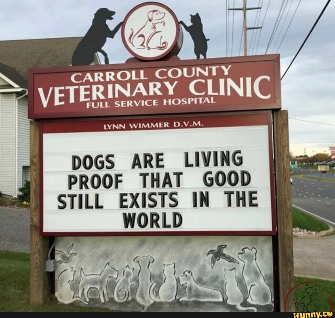 CARROLL COUNTY we ip I VETERINARY CLINIC FULL SERVICE HOSPITAL LYNN
