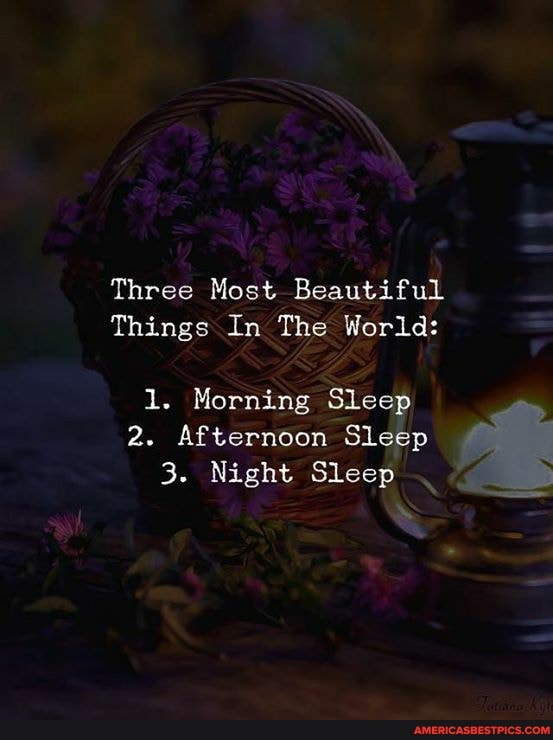 Three Most Beautiful
Things In The World:
1. Morning Sleep
2. Afternoon Sleep
3. Night Sleep