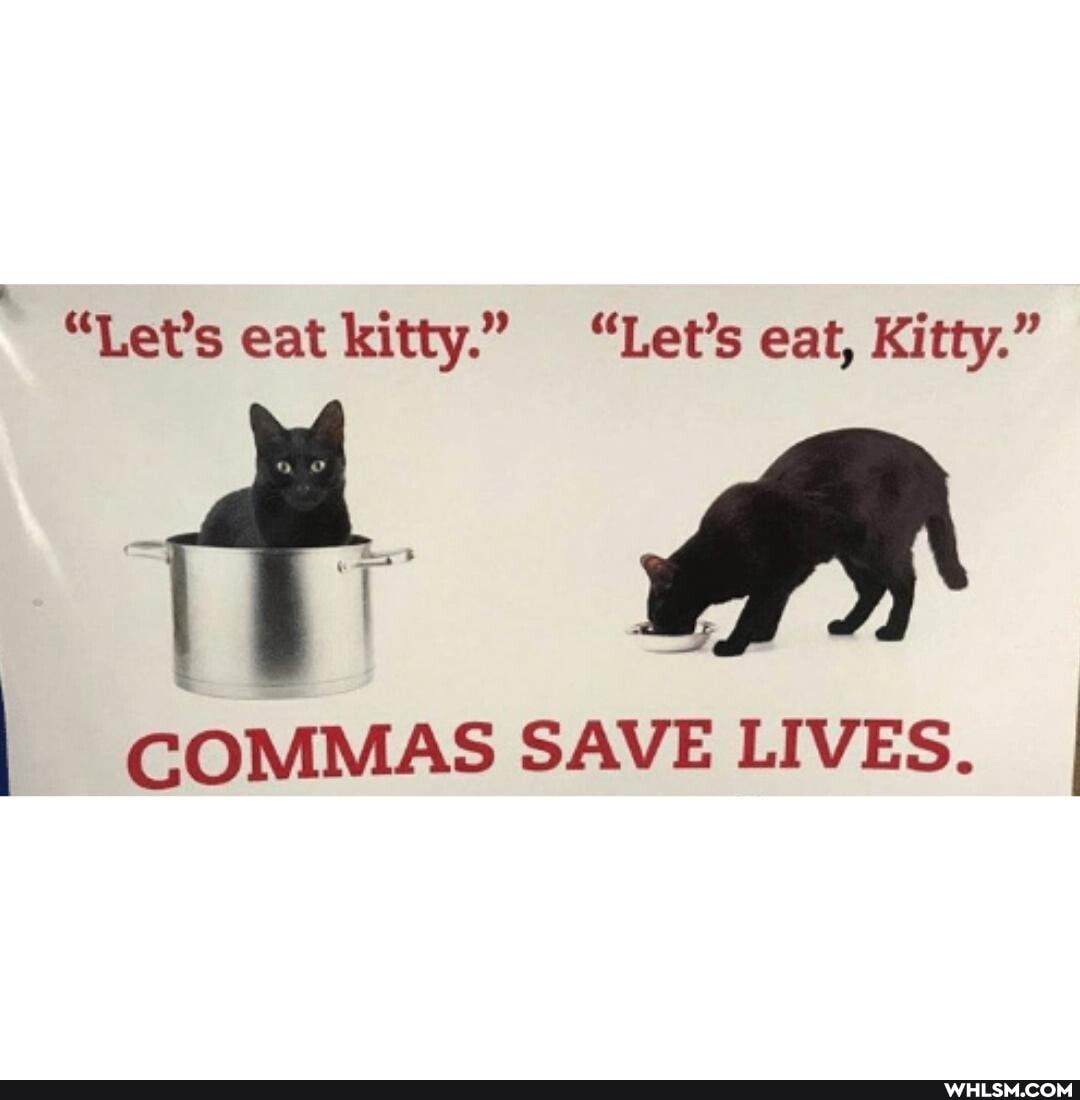 Let's eat kitty." "Let's eat, Kitty."
COMMAS SAVE LIVES. I
COMMAS SAVE LIVES.