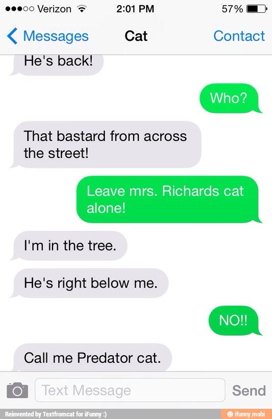 Messages Cat Contact
He's back!
That bastard from across
the street!
Leave mrs. Richards cat
alone!
I'm in the tree.
He's right below me.
Call me Predator cat.