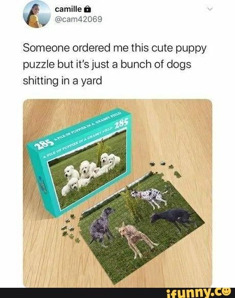 camille
@cam42069
Someone ordered me this cute puppy puzzle but it's just a bunch of dogs shitting in a yard