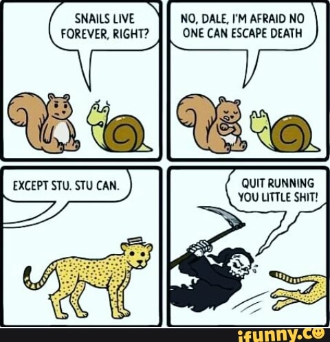 Forever Right One Can Escape Death Qui I Running Vou Little Shit Ifunny