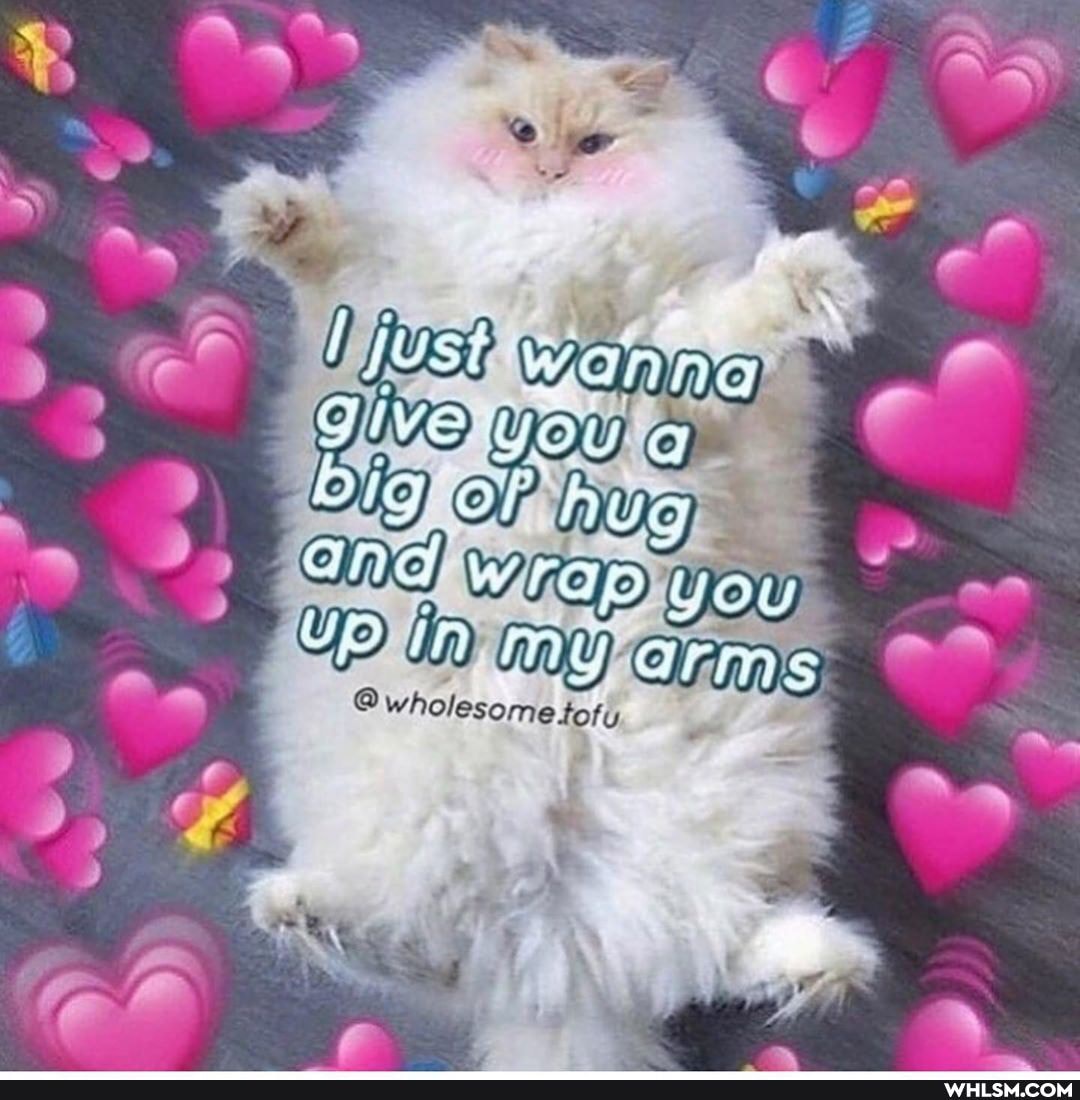 fuss ~
@ wholesome