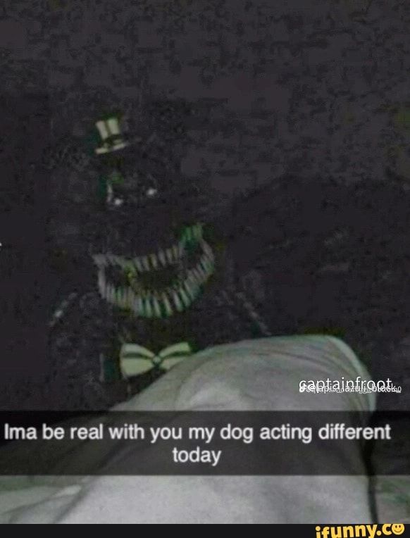 Ima be real with you my dog acting different today - iFunny