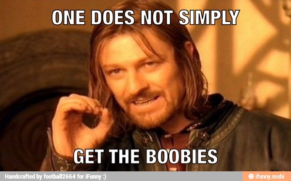 ONE
DOES'NOT SIMPLY
GET THE BOOBIES