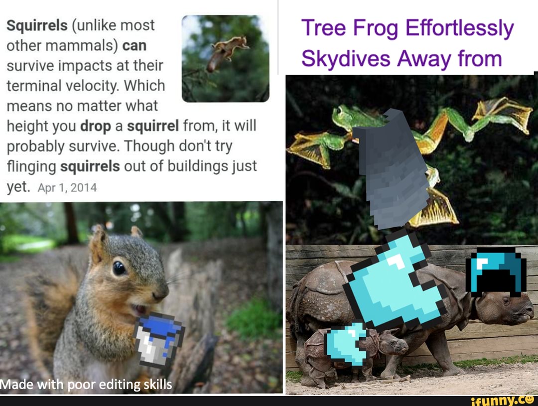 Squirrels (unlike most Tree Frog Effortlessly other mammals) can survive impacts at their