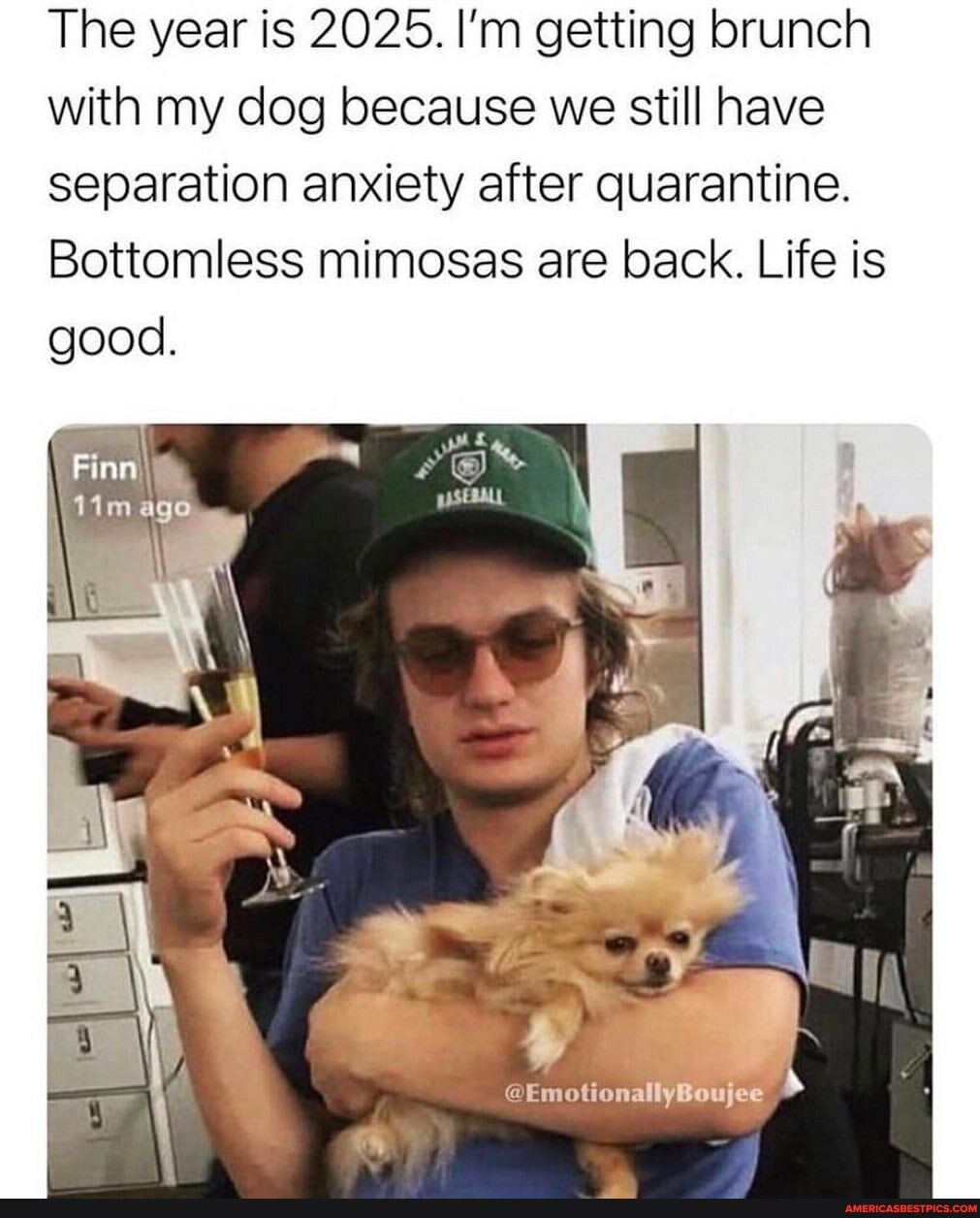 The year is 2025. I'm getting brunch with my dog because we still have separation anxiety after quarantine.
Bottomless mimosas are back. Life is good.
@Emotiona you
Finn
age