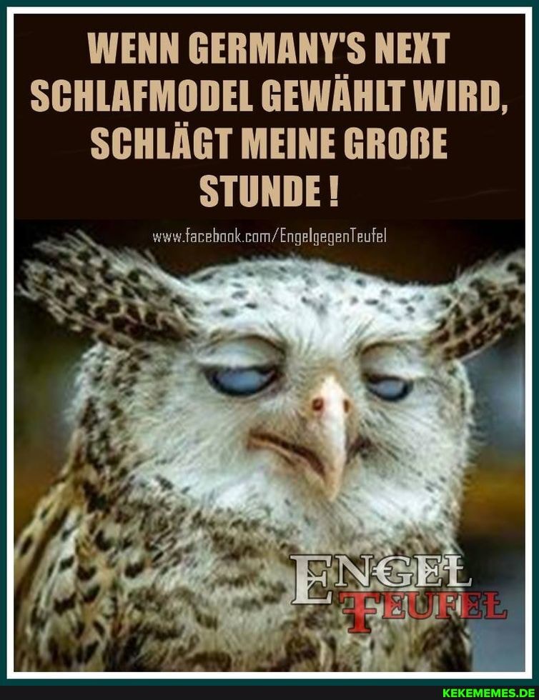 WENN GERMANY'S NEKT SCHLAFMODEL GEWÄHLT WIRD,
SCHLÄGT MEINE GROBE STUNDE !