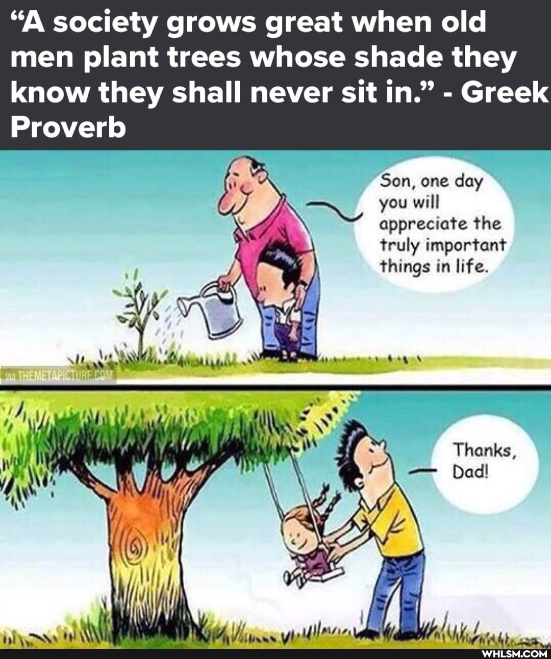 "A society grows great when old men plant trees whose shade they
know they shall never sit in." - Greek
Proverb
Son, one day you will appreciate the truly important things in life.
Thenks