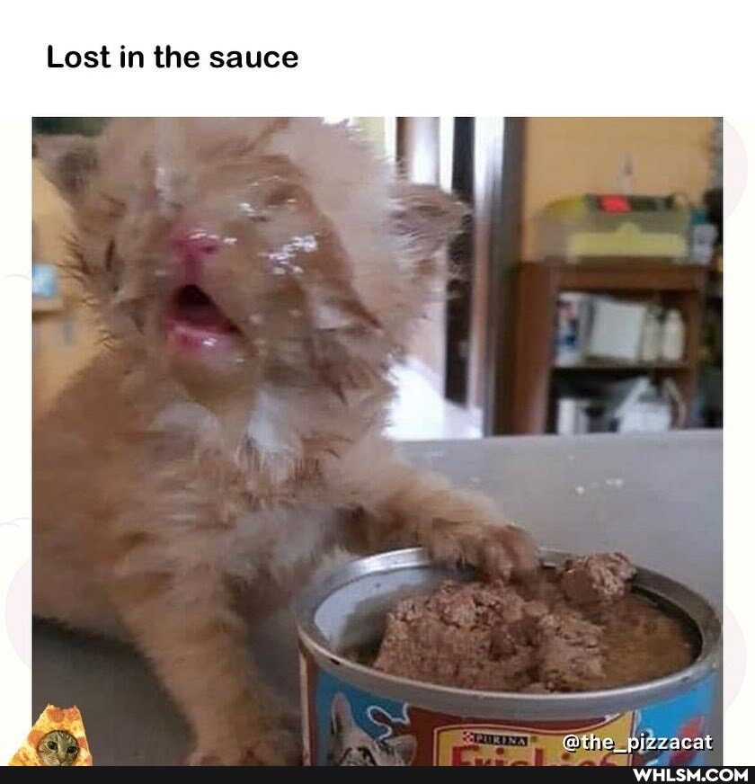 THEY SAID COULD BE ANYTHING WHLSM