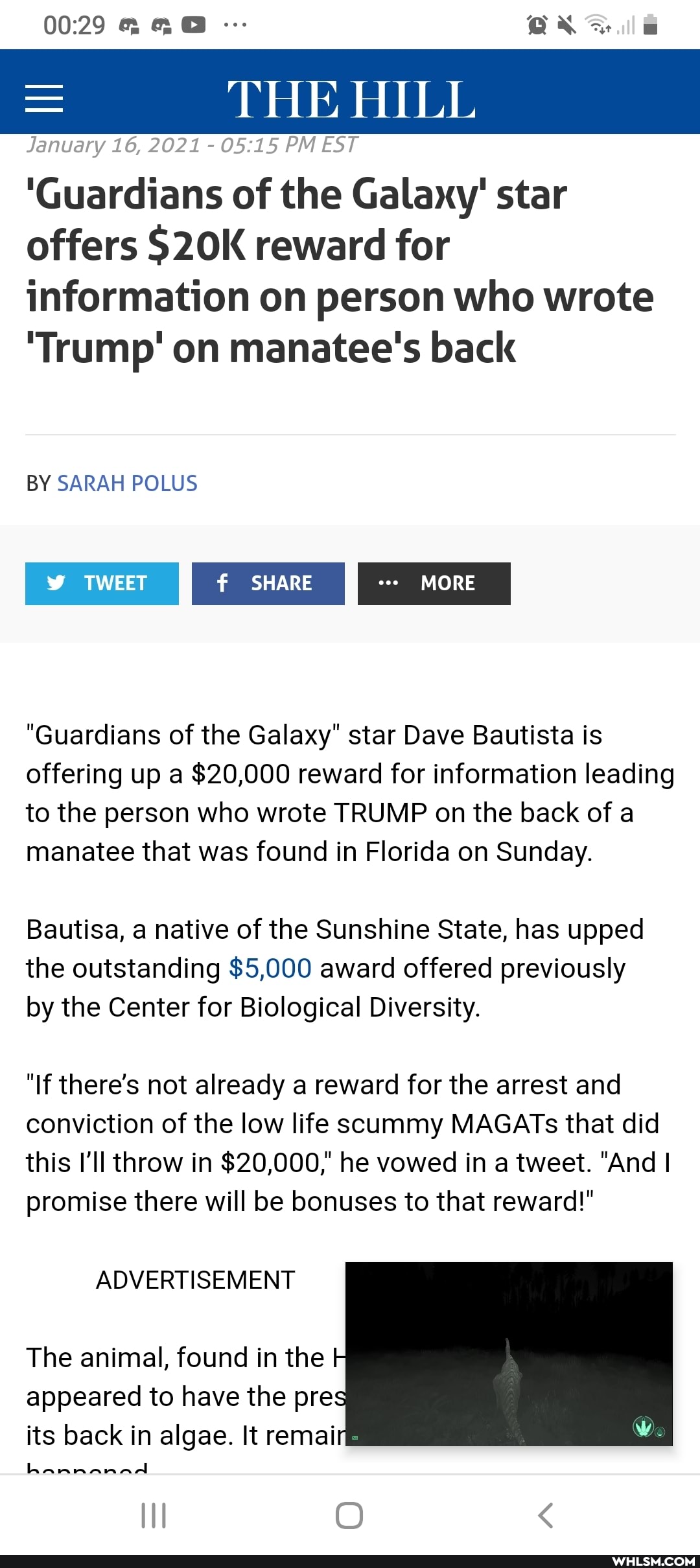 = THE HILL
January 16, 2021 PM EST
'Guardians of the Galaxy' star offers S2OK reward for information on person who wrote
'Trump' on manatee's back
BY SARAH POLUS
TWEET SHARE MORE
"Guardians of the Galaxy" star Dave Bautista is offering up a $20,000 reward for information leading to the person who wrote TRUMP on the back of a manatee that was found in Florida on Sunday.
Bautisa, a native of the Sunshine State, has upped the outstanding $5,000 award offered previously by the Center for Biological Diversity.
"If there's not already a reward for the arrest and conviction of the low life scummy MAGATs that did this I'll throw in $20,000," he vowed in a tweet. "And I promise there will be bonuses to that reward!"
ADVERTISEMENT The animal, found in the
appeared to have the pres its back in algae. It remai
II O <